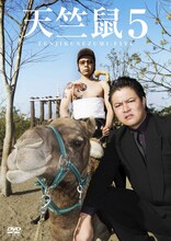 DVD「天竺鼠5」ジャケット