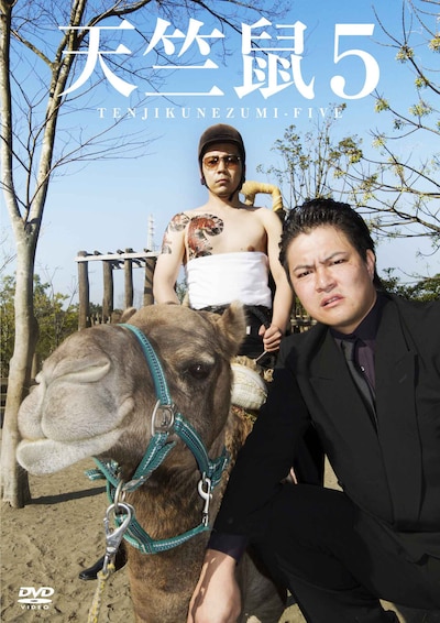 DVD「天竺鼠5」ジャケット