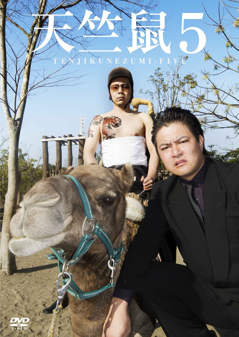 DVD「天竺鼠5」ジャケット