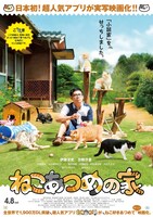 映画「ねこあつめの家」のポスタービジュアル（キャット版）。(c)2017 Hit-Point/『映画ねこあつめ』製作委員会