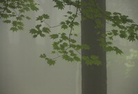 浜田太一の作品