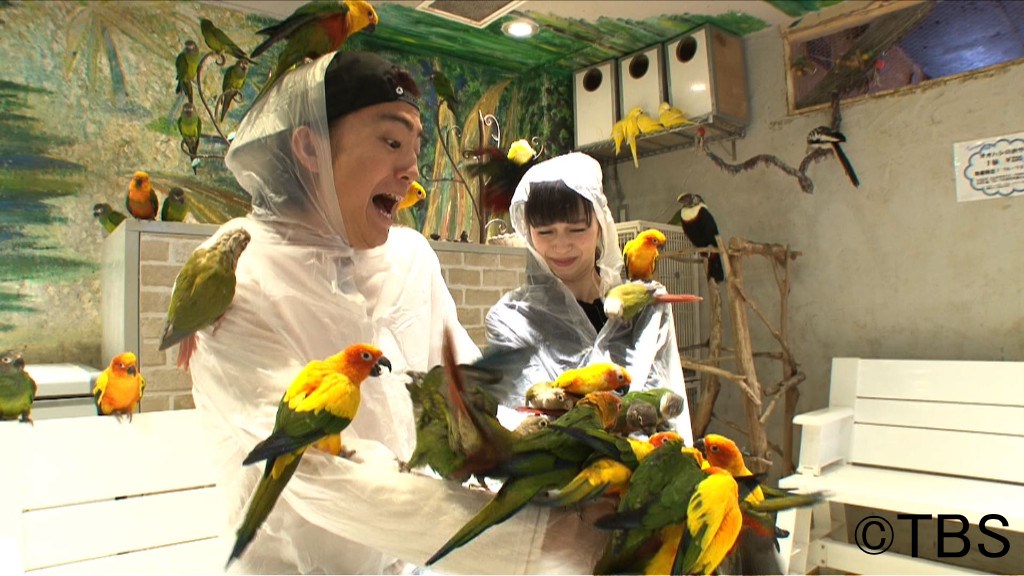 「トコトン掘り下げ隊！生き物にサンキュー!!SP」のワンシーン。