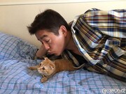 スピードワゴン井戸田