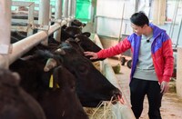 牛と触れ合うカミナリ石田。(c)日本テレビ