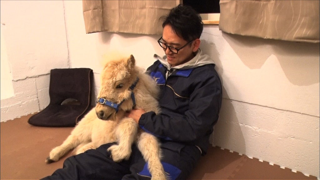 ナイツ土屋がミニチュアホース飼い始める、あばれる君の無人島脱出も