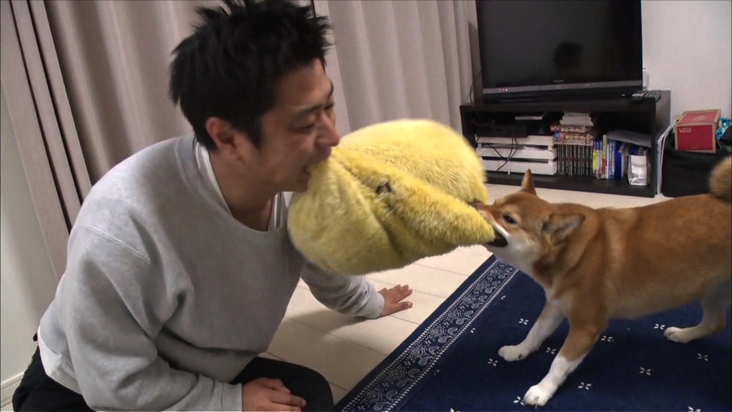 「トコトン掘り下げ隊！生き物にサンキュー!!」に出演する、パンサー尾形と愛犬の三九（みく）。(c)TBS