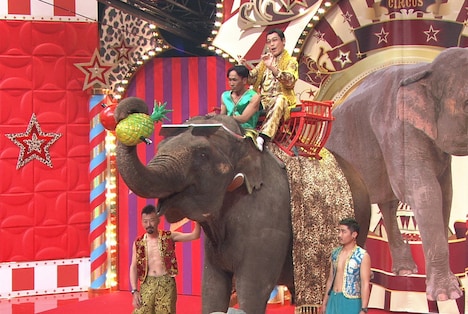 本物の象に乗って登場するピコ太郎。(c)TBS