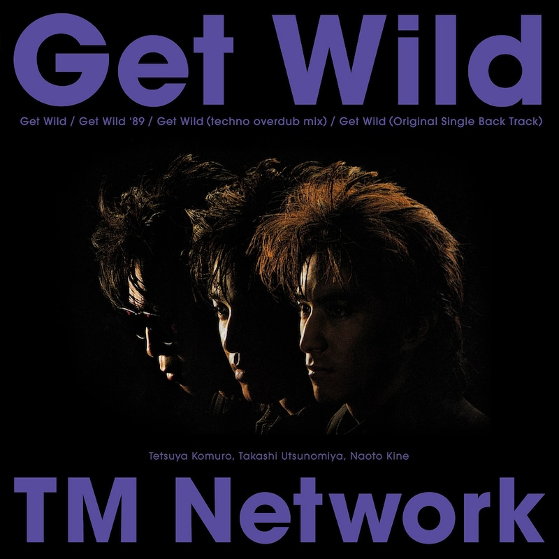 「Get Wild」アナログ盤ジャケット