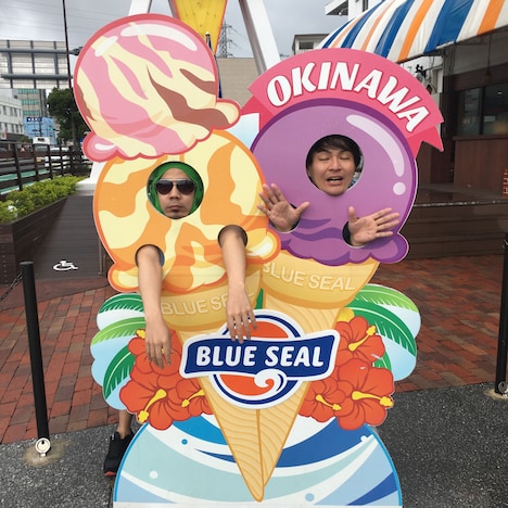 沖縄を満喫する天竺鼠。