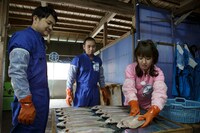 「千鳥が行く！ルート931の旅。in八丈島・くさや」撮影中の様子。