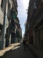 「表参道のセレブ犬とカバーニャ要塞の野良犬」より