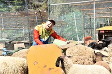 レイザーラモンRG (c)日本テレビ