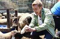 オカダ・カズチカ (c)日本テレビ