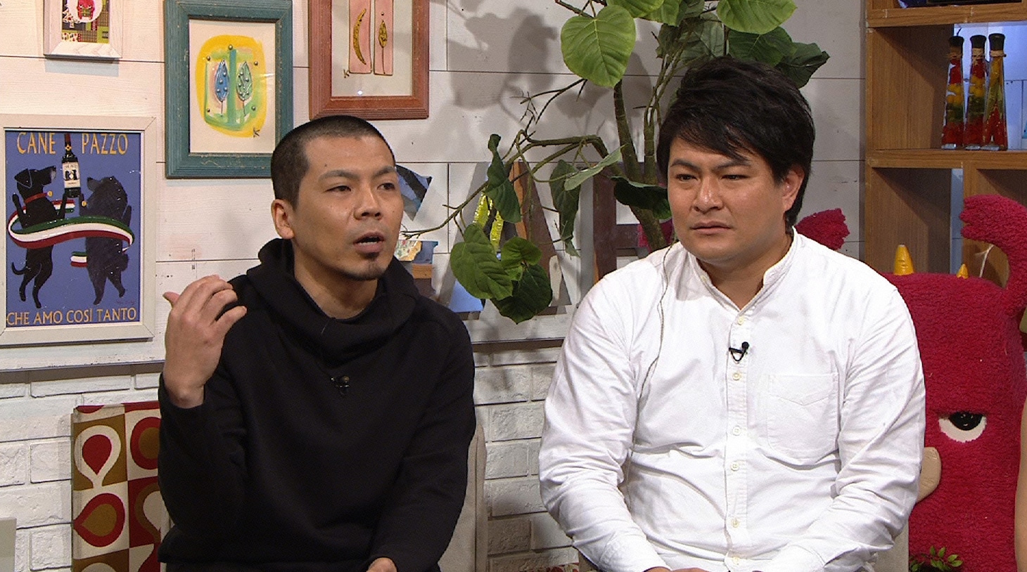 天竺鼠 (c)読売テレビ