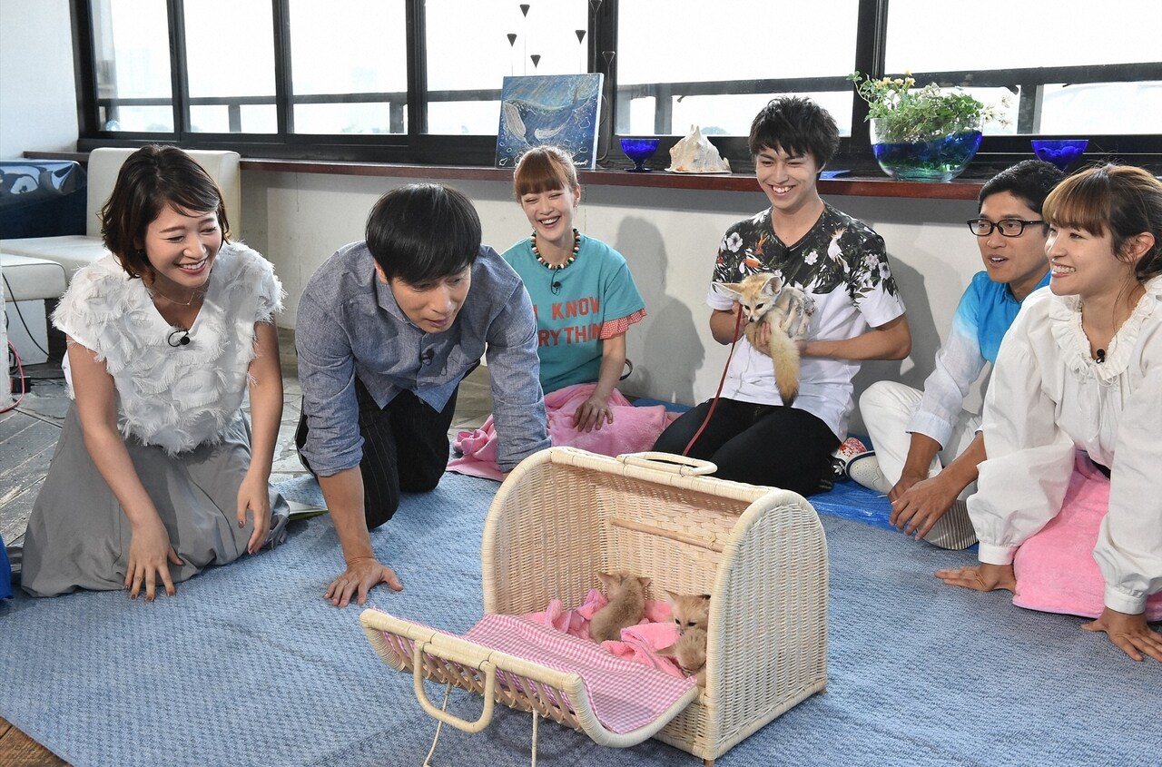 フェネックの親子が登場する「生き物にサンキュー」のワンシーン。(c)TBS