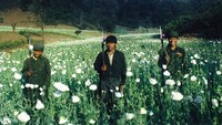 「麻薬密造地帯アヘン王国潜入」より。