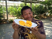 山口智充 (c)関西テレビ