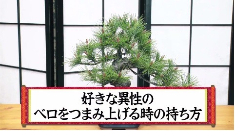 動画「【持ち方先生】お箸の持ち方講座（1）【野性爆弾くっきー】」のワンシーン。