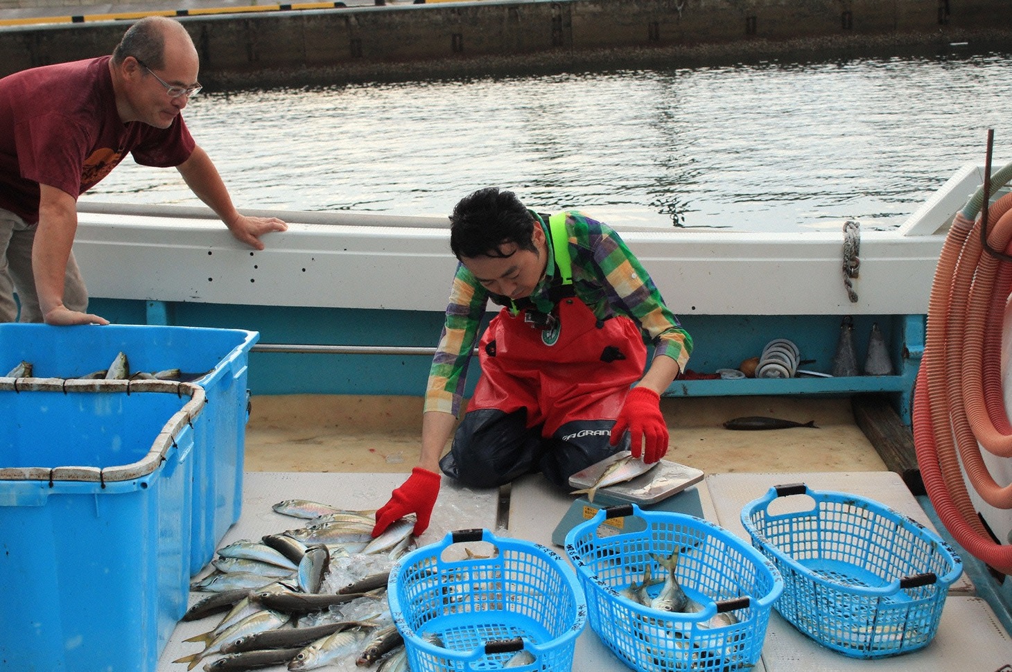 漁を手伝うアンガールズ田中。(c)長崎国際テレビ