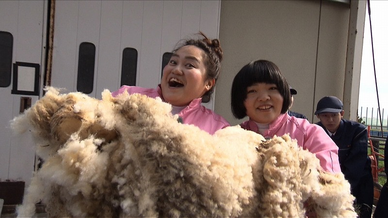 おかずクラブ、廃校の危機にある農業高校を羊の毛刈りで応援