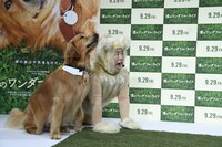 「僕のワンダフル・ライフ」PRイベントの様子。