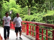 「ポンコツおじさん旅に出る5」より。(c)テレビ東京