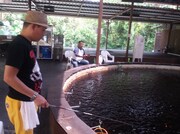 エビを釣る千原せいじ。(c)読売テレビ