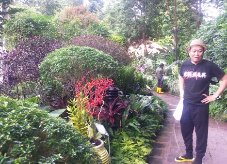 シンガポール植物園を訪れた千原せいじ。(c)読売テレビ