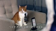 Y!mobileの新CM「英語にズキュン！」篇のワンシーン。