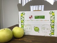 加藤アプリと笑い飯・哲夫が収穫した二十世紀梨。