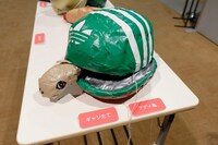 ギャンたてとアディ亀。