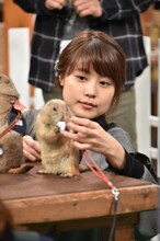 有村架純 (c)日本テレビ