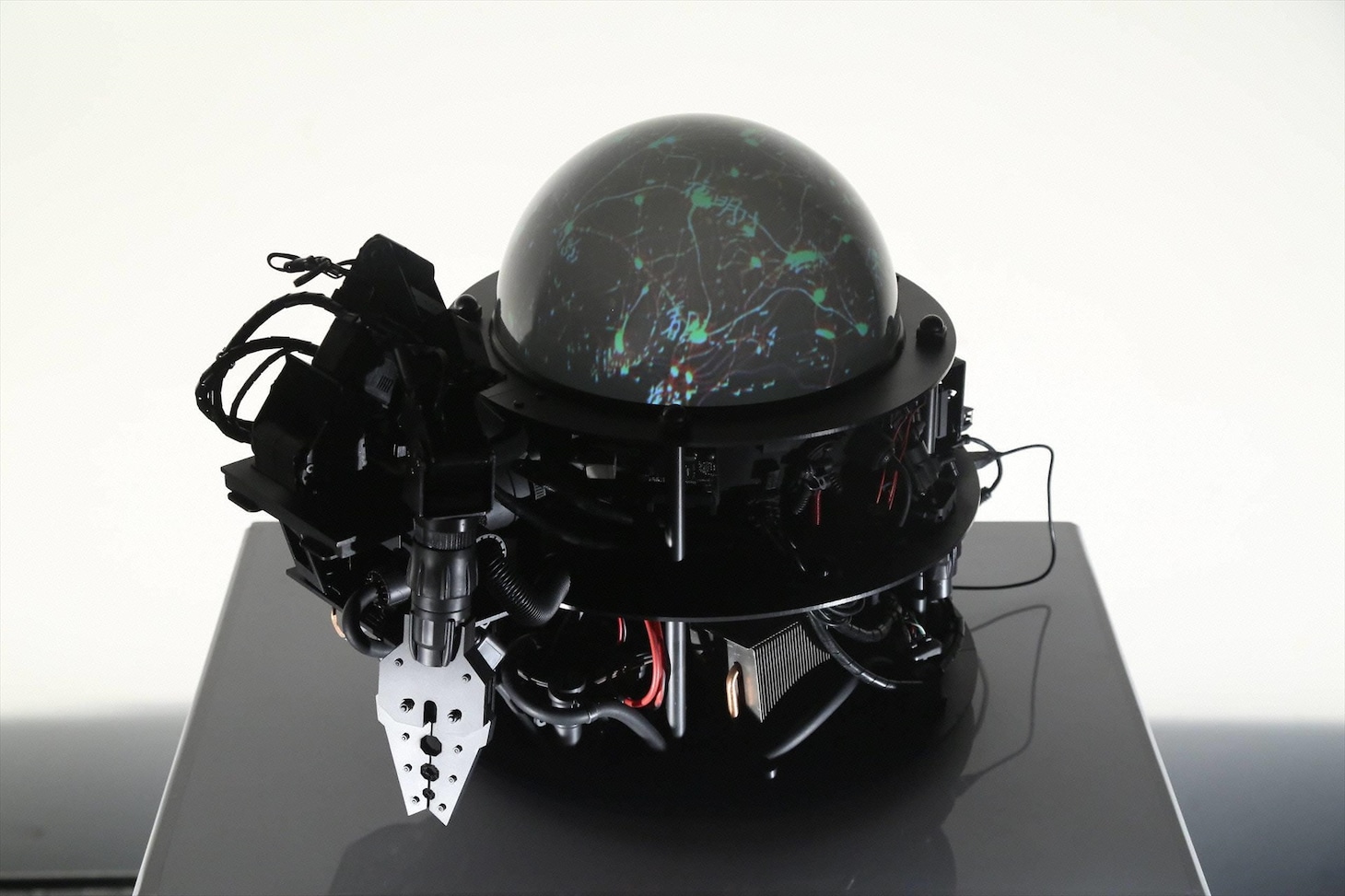 AI-CDβ (c)フジテレビ