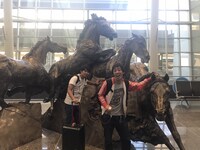 移動中のさらば青春の光。