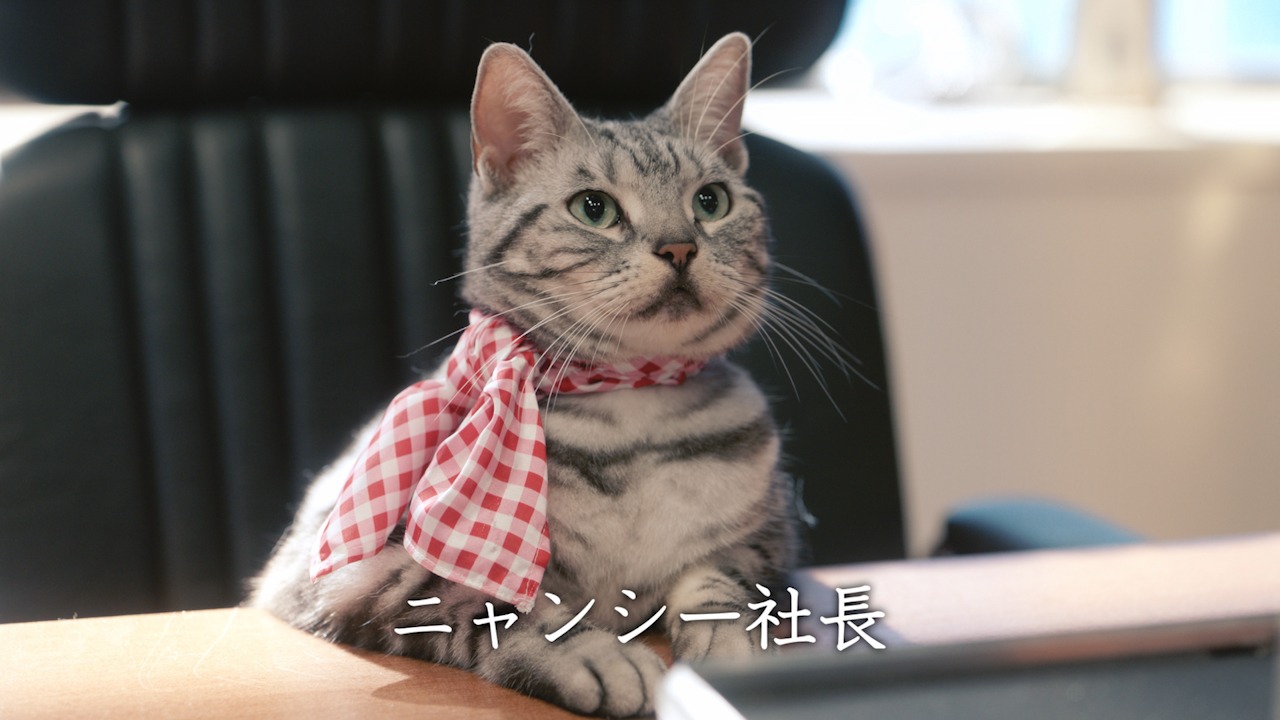 Y!mobileの新CM「英語で営業」篇のワンシーン。