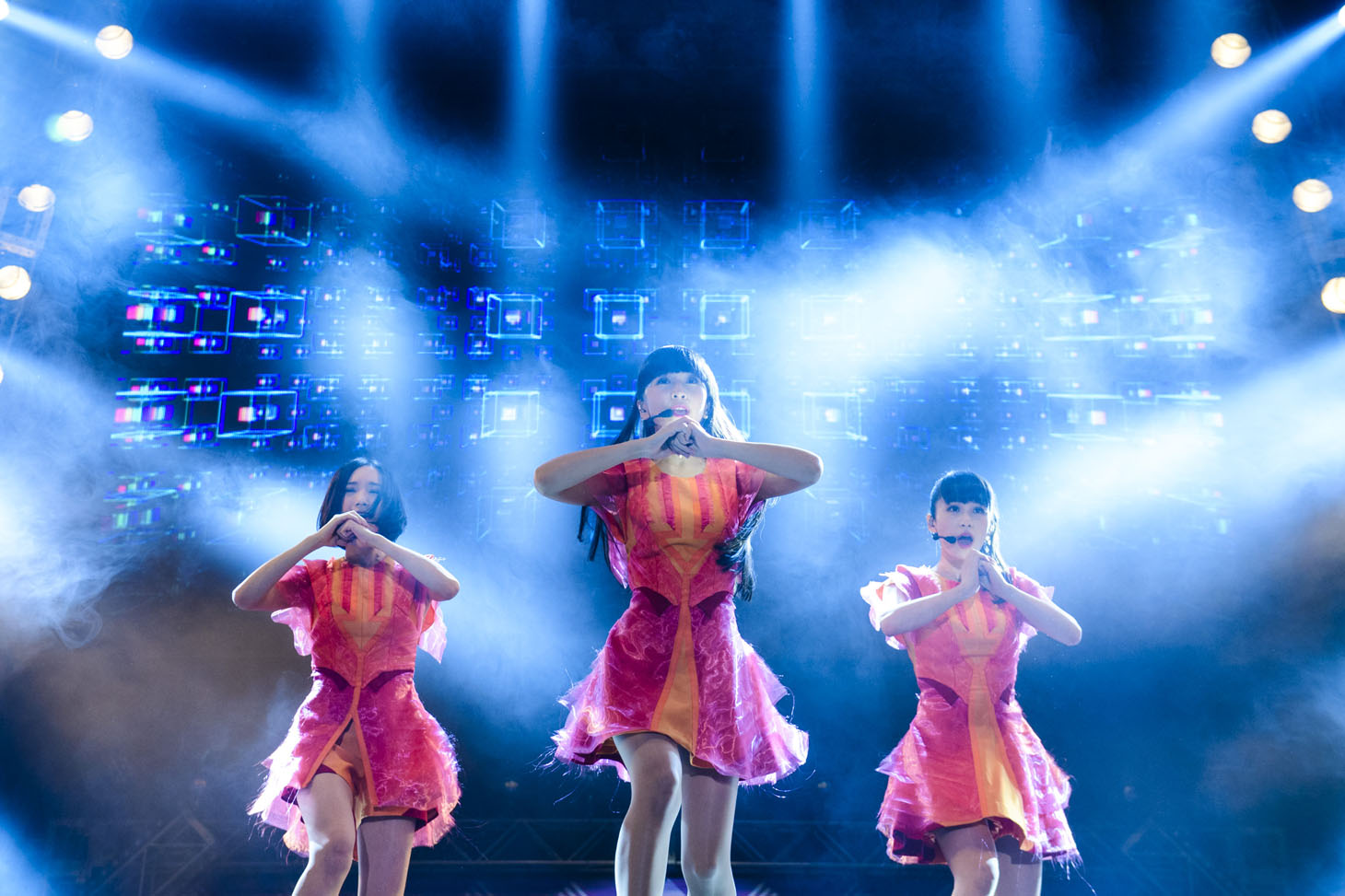 Perfume