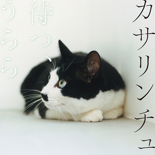 カサリンチュのコンセプトミニアルバム「待つ、うらら」ジャケット
