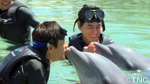 イルカとふれあう博多華丸・大吉。