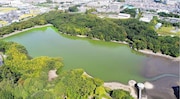 水抜き前の山田池。(c)テレビ東京