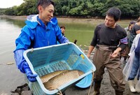 作業する小泉孝太郎（左）。(c)テレビ東京
