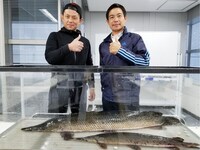 的場浩司（左） (c)テレビ東京