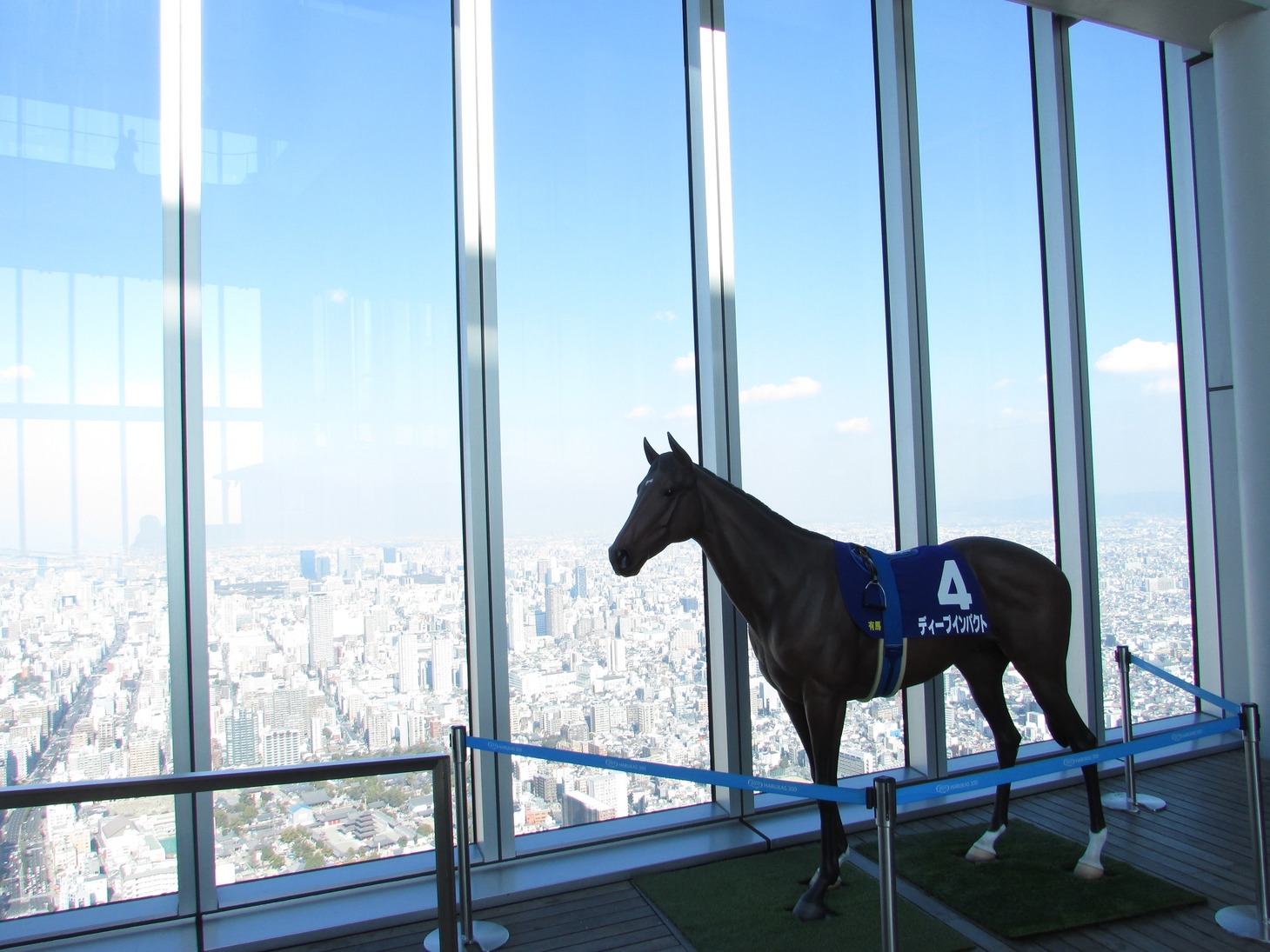 大阪・ハルカス300の58階にある天空庭園からの見晴らし。