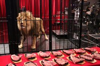 小林尊との「世紀の大食い対決」に臨むライオン。(c)フジテレビ