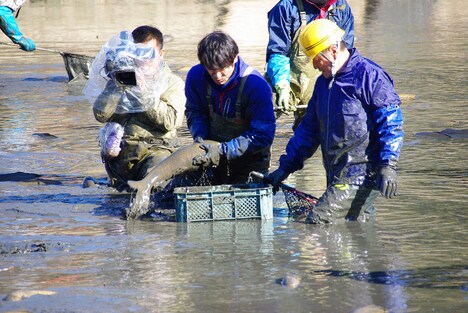 「緊急SOS！池の水ぜんぶ抜く大作戦6」のワンシーン。(c)テレビ東京