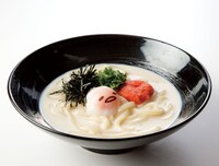通常メニューのしがらみ豆乳明太うどん。