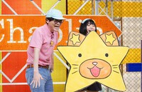 にゃんこスター