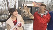 （左から）稲場愛香、サンドウィッチマン伊達。(c)STV