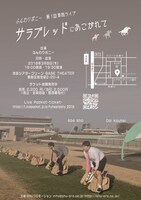 ふんわりポニーの単独ライブ「サラブレッドにあこがれて」チラシ裏。