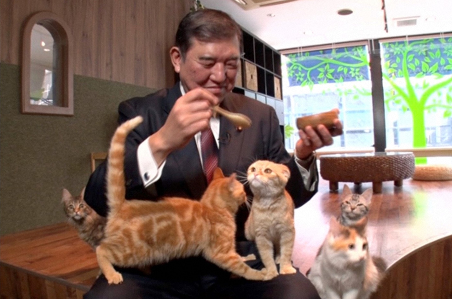 衆議院議員の石破茂と猫たち。(c)TBS