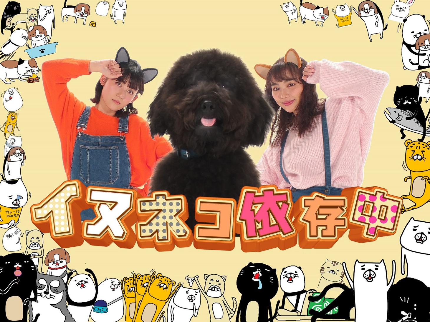 「イヌネコ依存中」キービジュアル